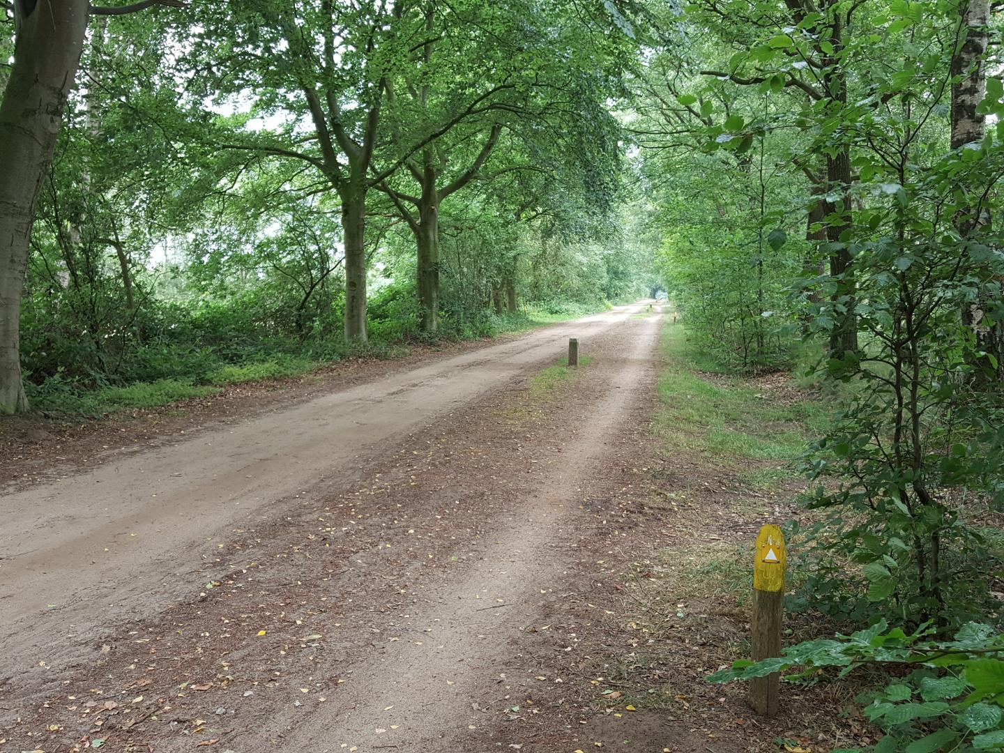 zandweg